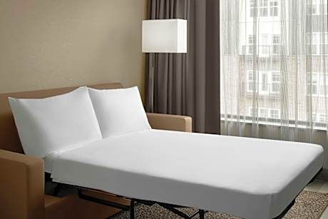 King Studio Suite with Sofa Bed