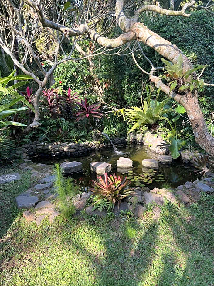 Rumah Kelapa Villa Alami