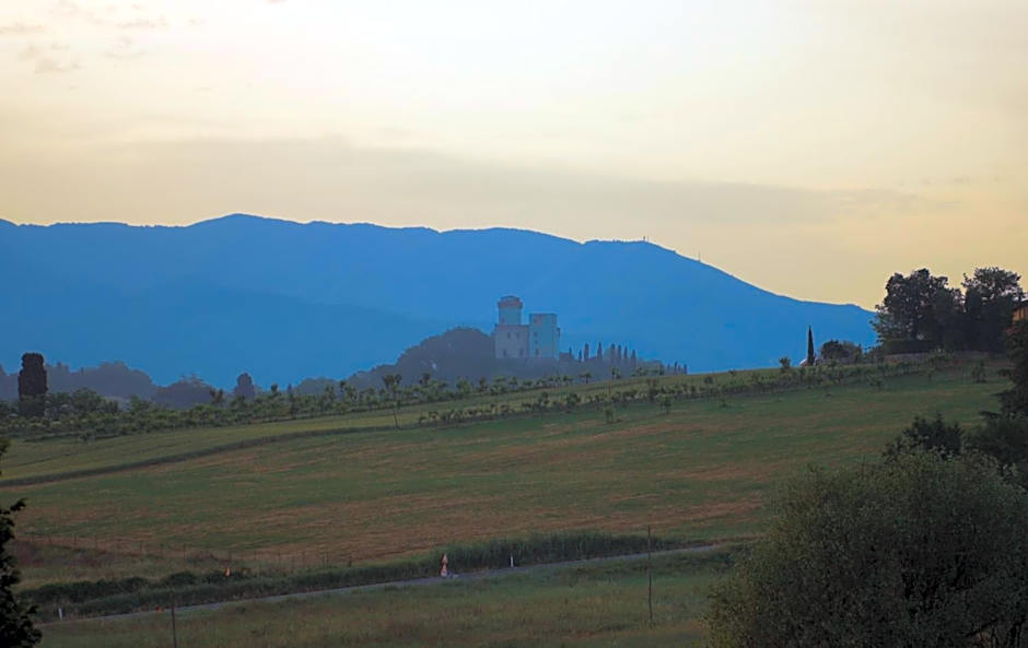Tenuta Il Burchio