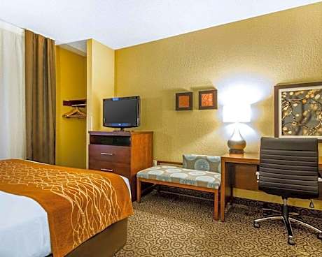 1 King Bed, Suite, Nonsmoking