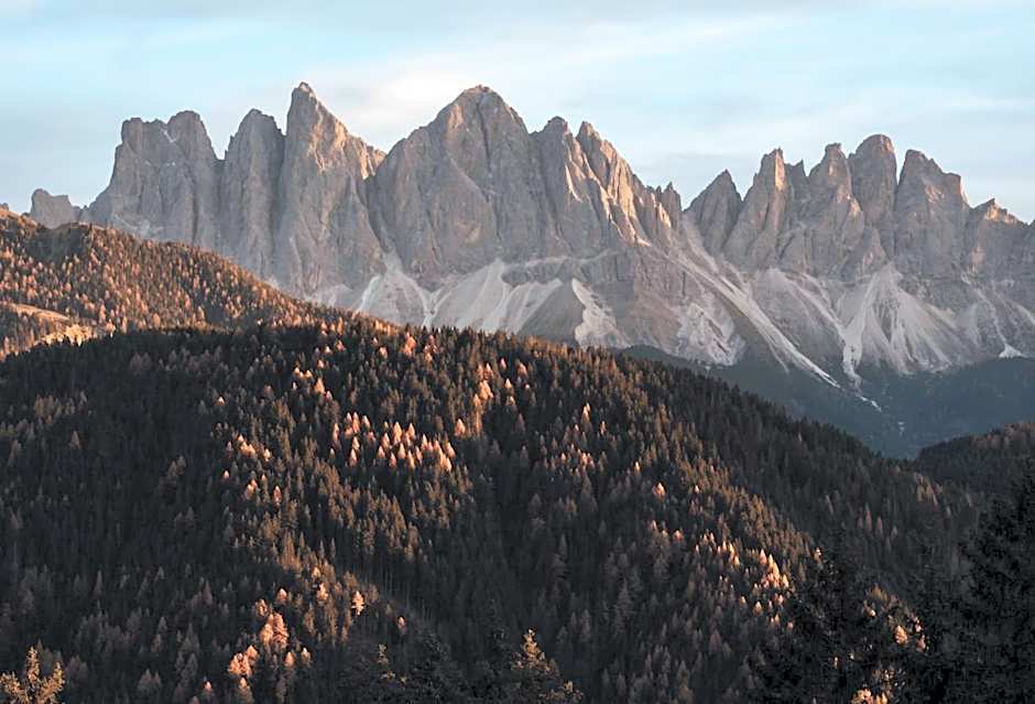 Forestis Dolomites