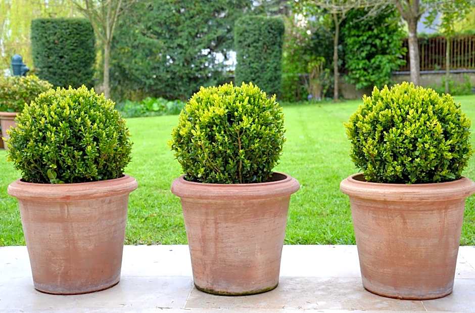 Clos de Bellefontaine B&B