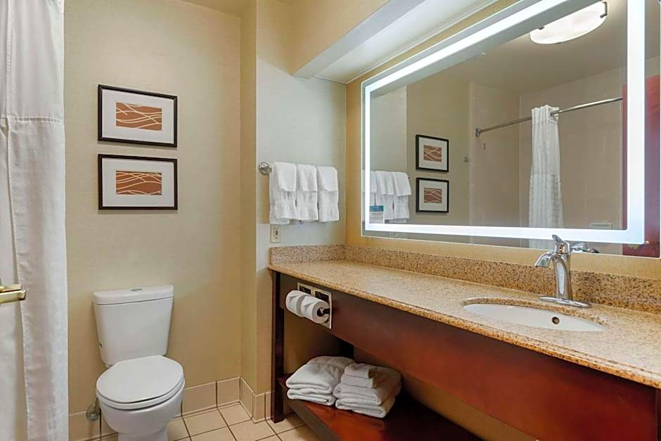 Comfort Inn & Suites Jackson North