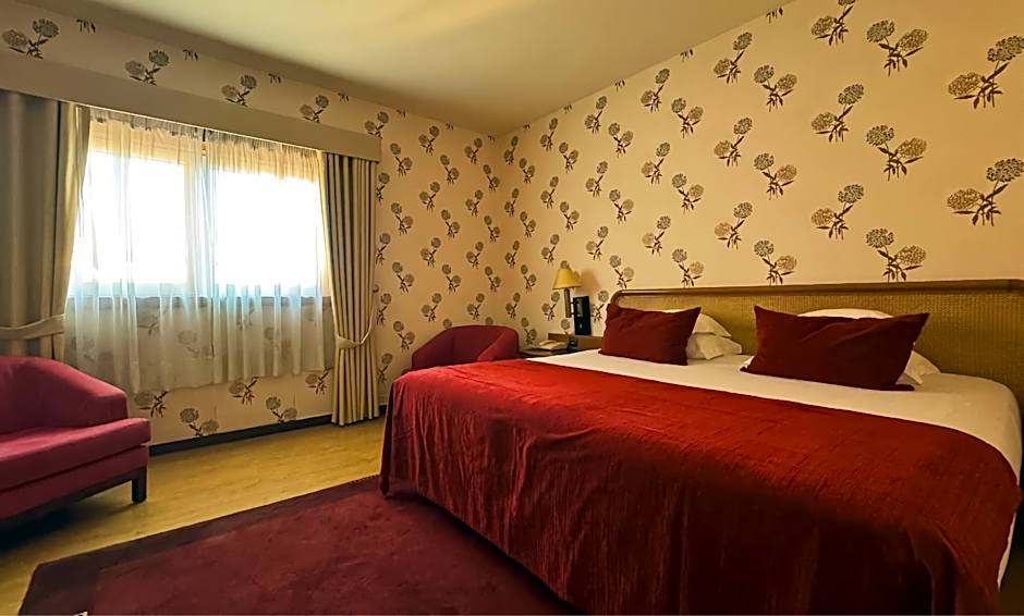 Palace Hotel & Spa - Termas de Sao Vicente