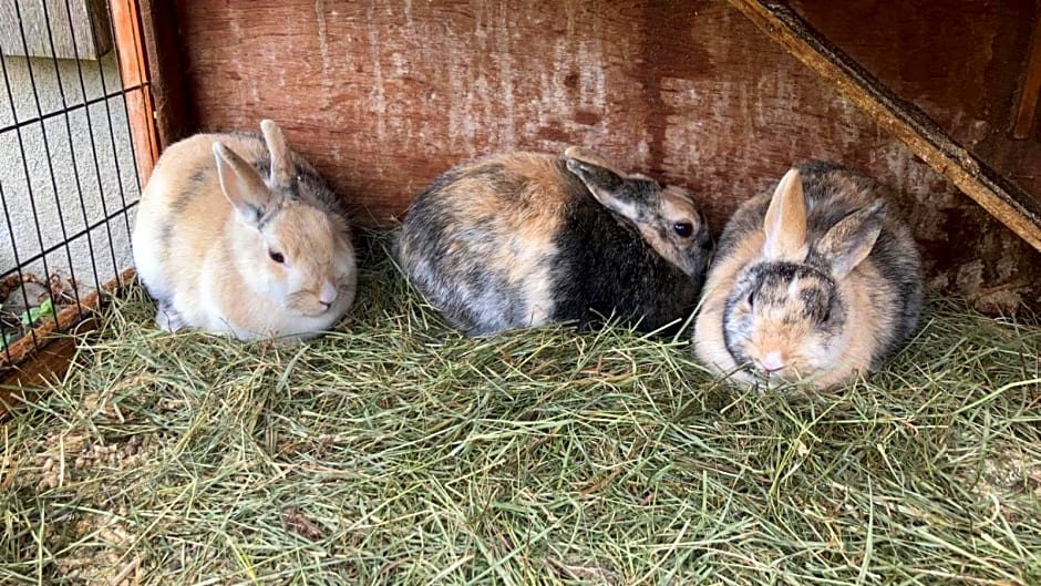 Panoramahof Bergglück