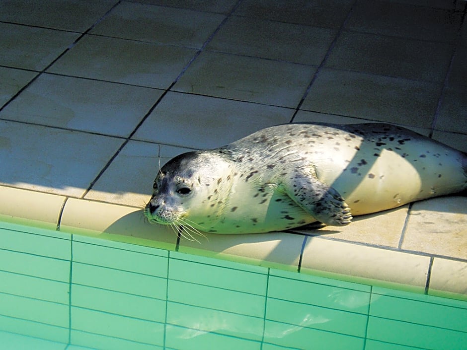 Fletcher Hotel-Restaurant Koogerend
