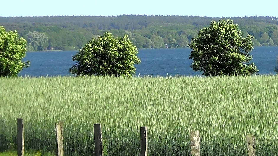 Hotel Marianne und Restaurant Kiek In