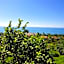 Bungaport Luxury Bungalows&Suits