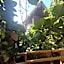 Bambú Ecocabañas