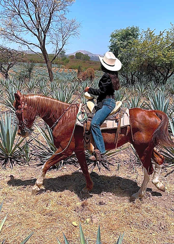 Matices Hotel de Barricas