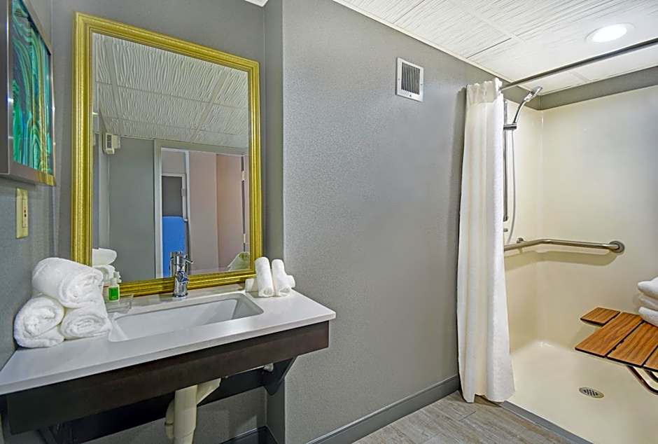 Holiday Inn - Memphis Downtown - Beale St. by IHG