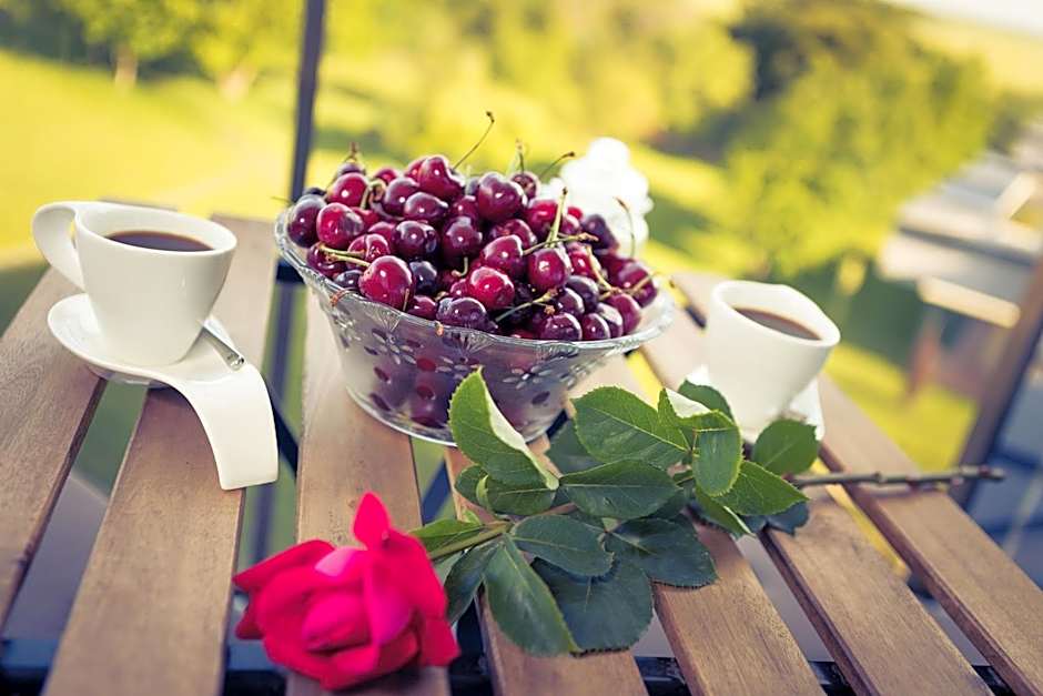 Luxury apartment Vodolei