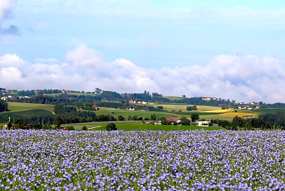 Ferienhof Neundlinger