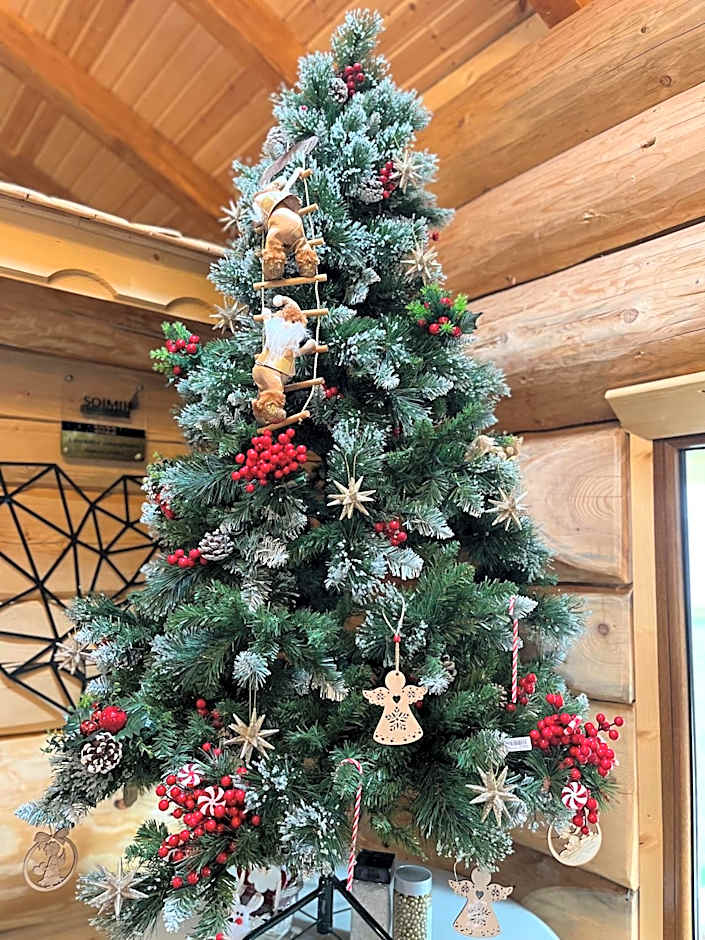 Pensiunea Mireasma Bucovinei