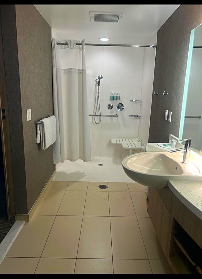 Springhill Suites by Marriott Denver Parker