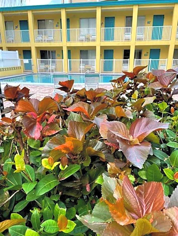 Searenity, Waterside studio in the heart of Treasure Island, walk to beach