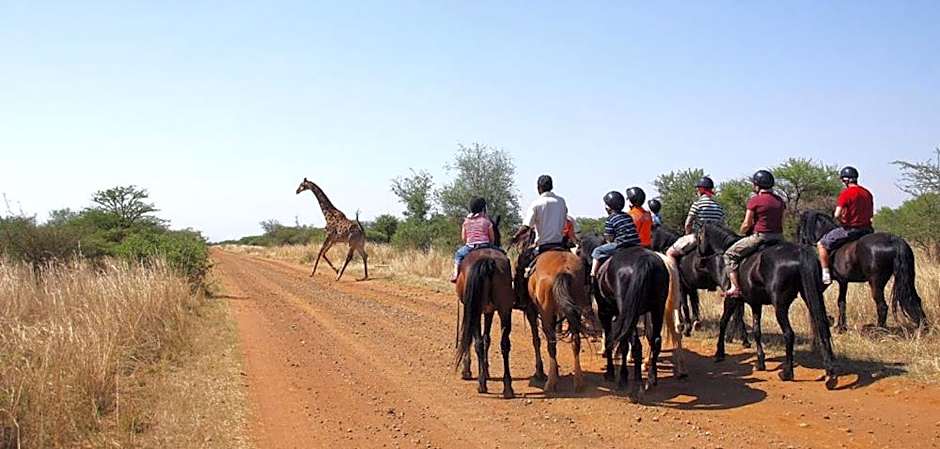 Sondela Nature Reserve & Spa Makhato Lodges