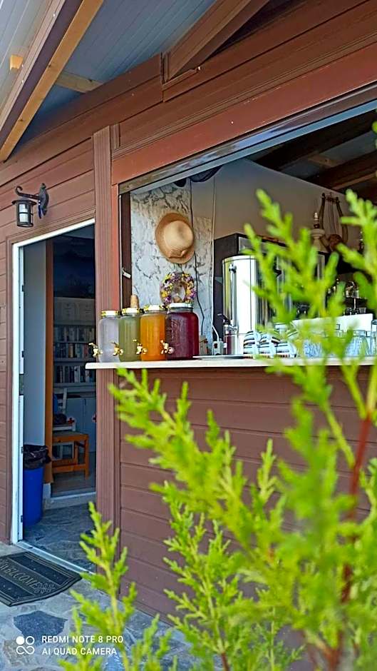 Orfeas Studios Molivos