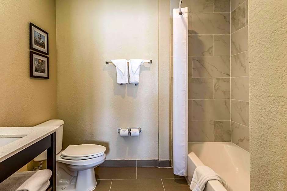 Comfort Inn Downtown