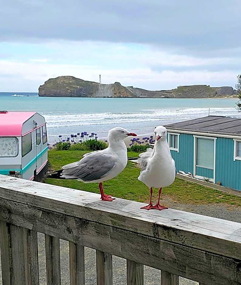 Castlepoint Holiday Park & Motels