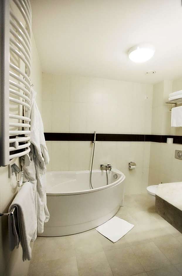 Hotel Termy Pałacowe