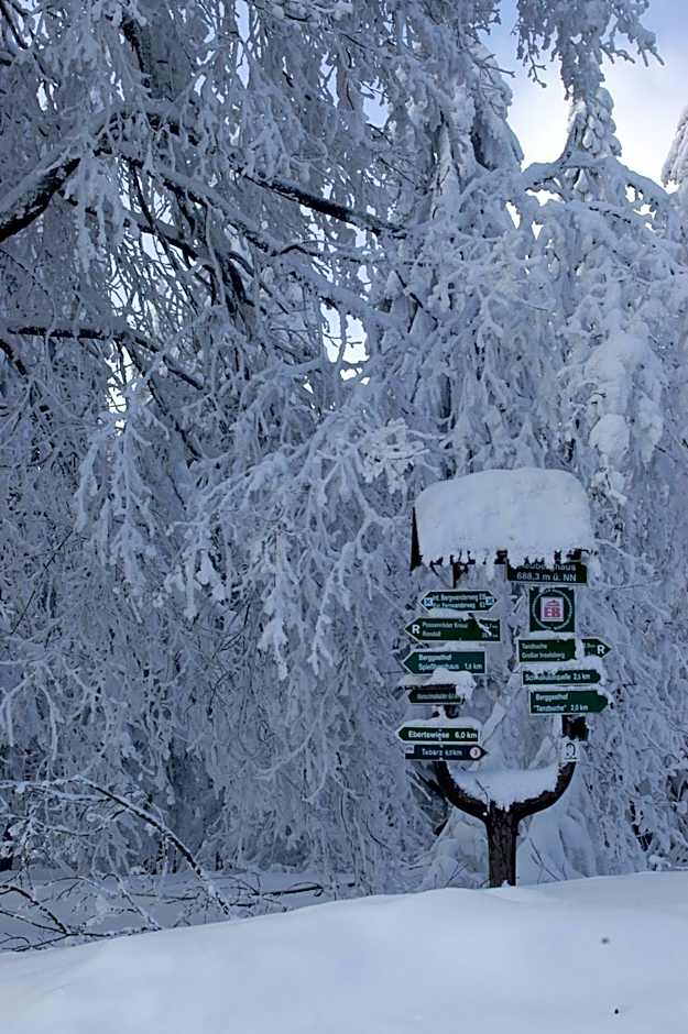 Hotel und Berggasthof Tanzbuche