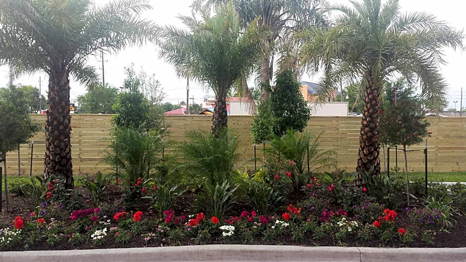 Palace Inn 290 & Jones Rd