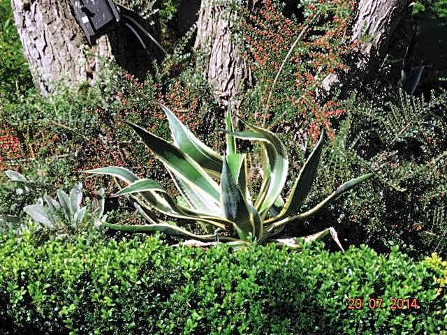 Gartenhotel Lenzenhof - Wildschönau- PREMIUMCARD inclusive