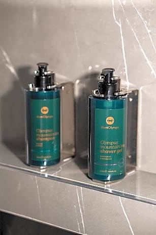 Deluxe Suite with Sea View