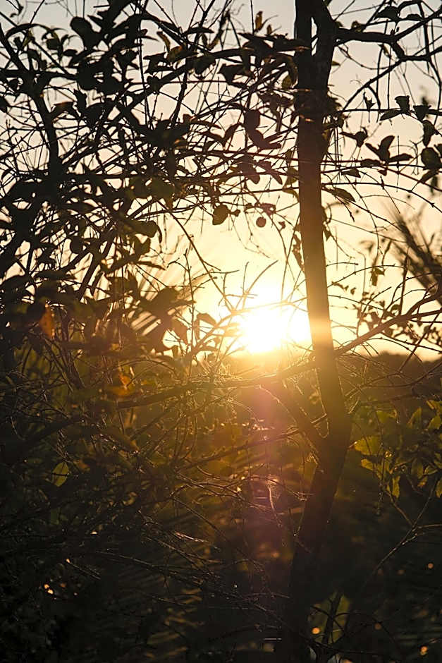 Chalé com Vista Privilegiada