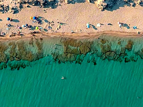 Pinulà