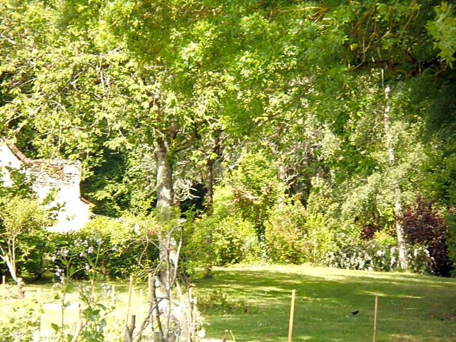 B&B La Ferme des Bordes