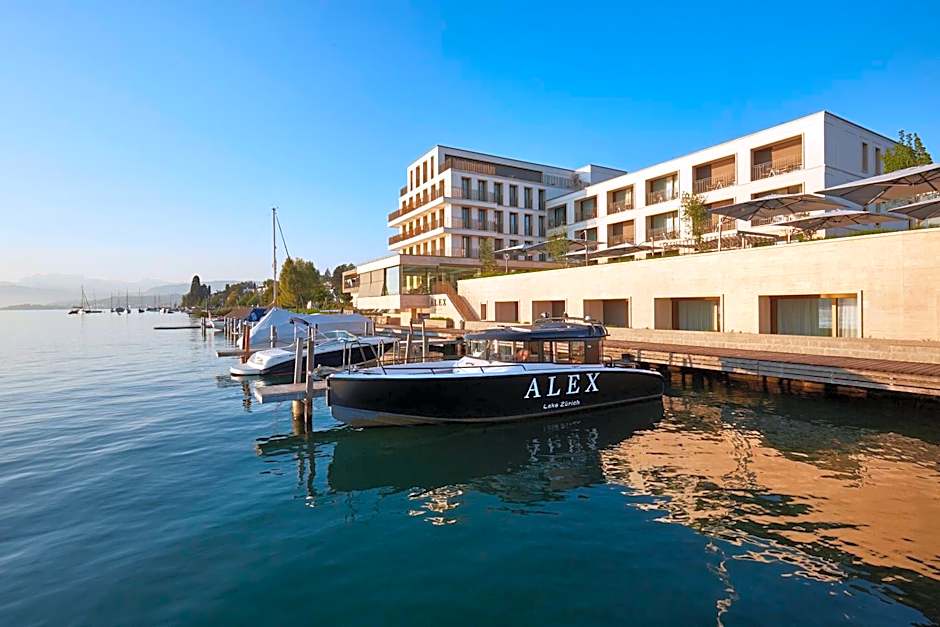 Alex Lake ZÃ¼rich