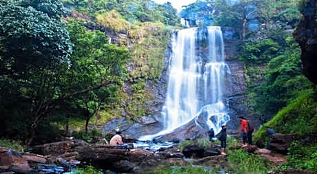 Kemmannugundi Hill Resort-Jungle Lodges