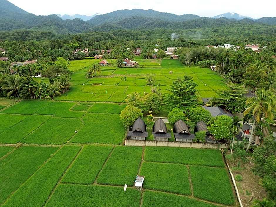 Gino's Place - Guest House & Jungle Trekking