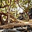 Sarova Shaba Game Lodge
