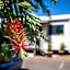 Mt Isa City Motel