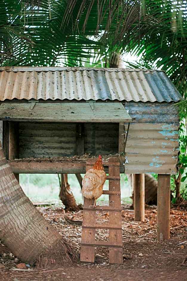 La Vieille Cheminée, Tropical Farm & Eco-Lodges