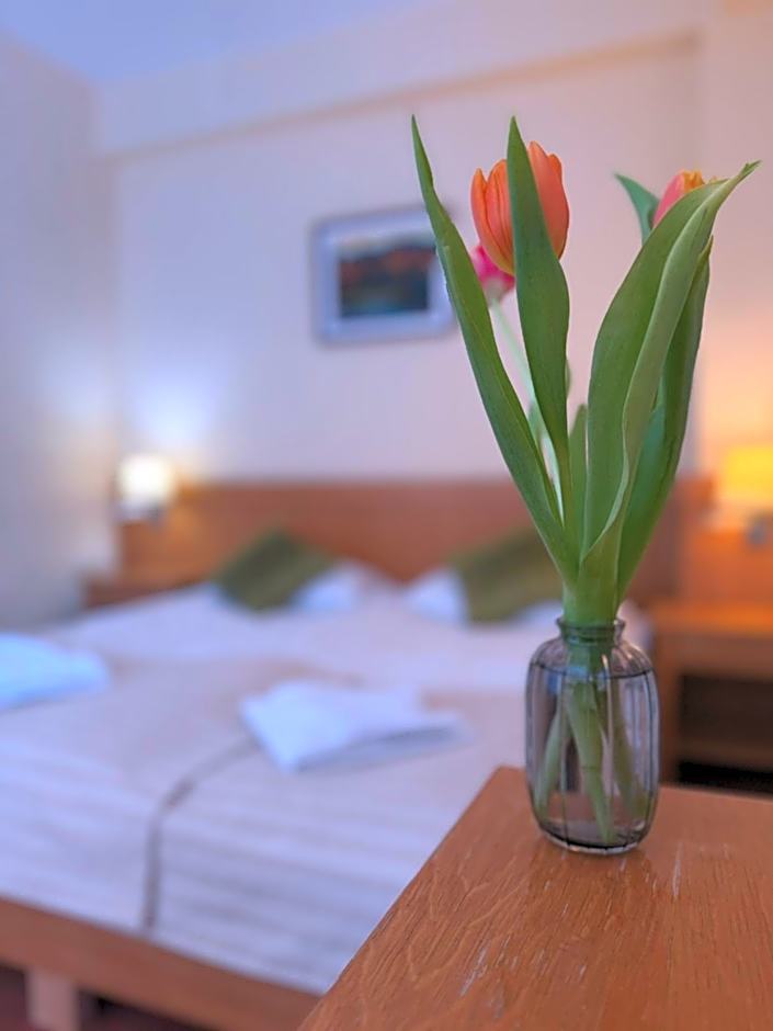 Hotel - Restaurant Gonduzo