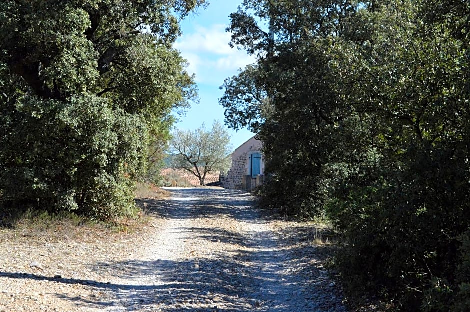 Ferme de Palumiane - Chambres climatisées