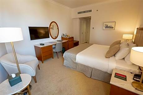 Deluxe Baron Palace View - Single Use