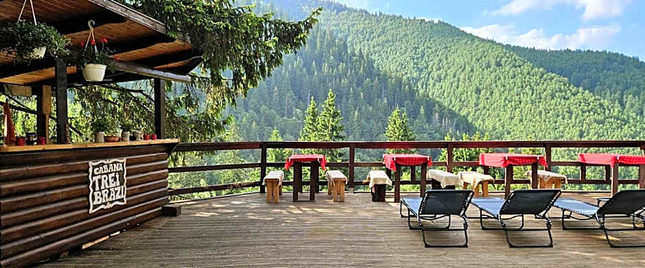 Cabana "Trei Brazi " Retezat