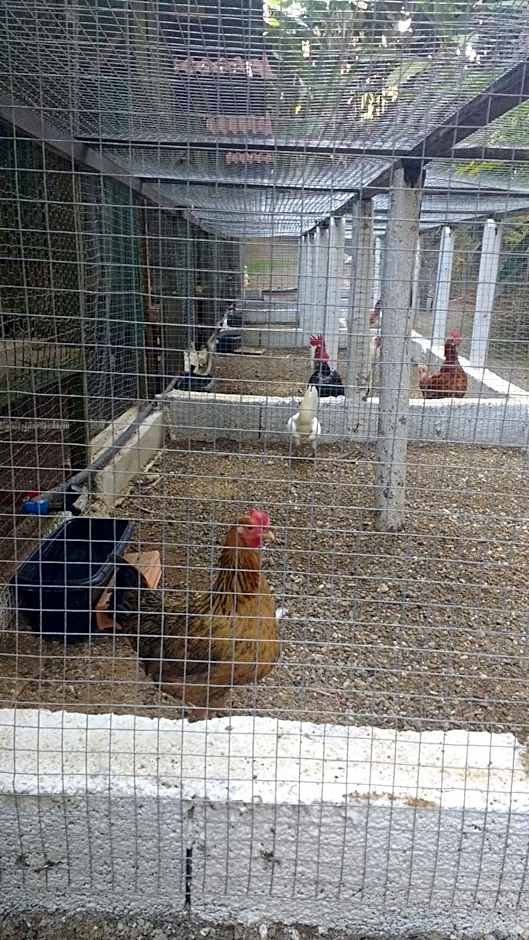 Casa de campo Rosa dos ventos