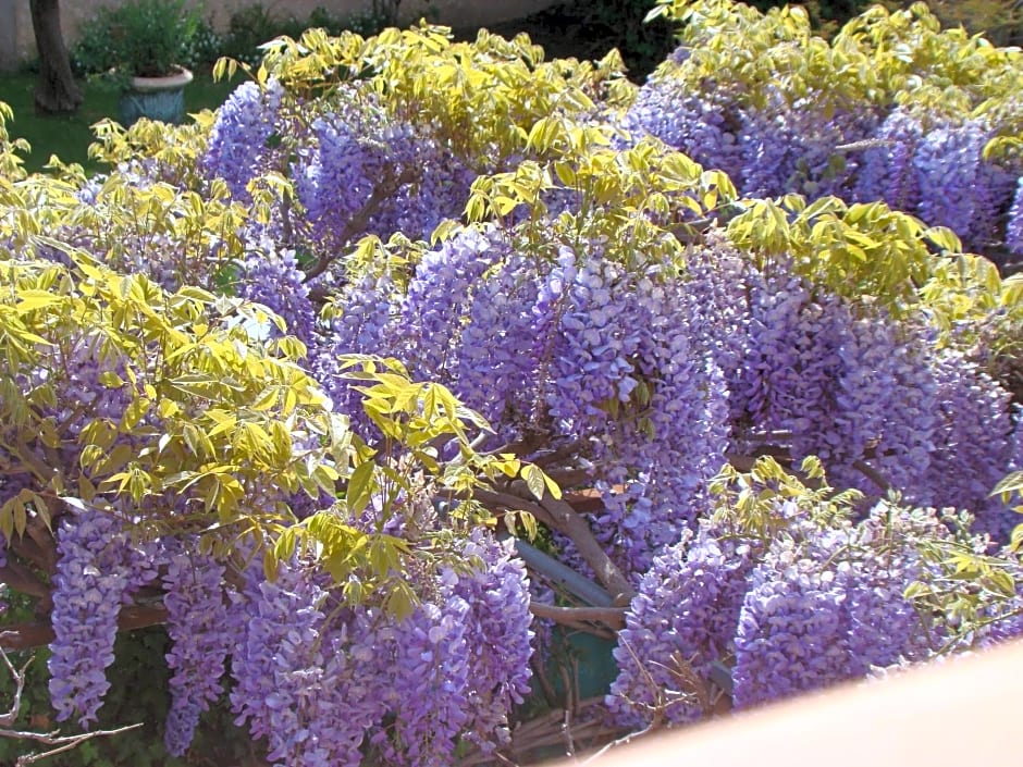 Chambres Table d'hotes Carpe diem