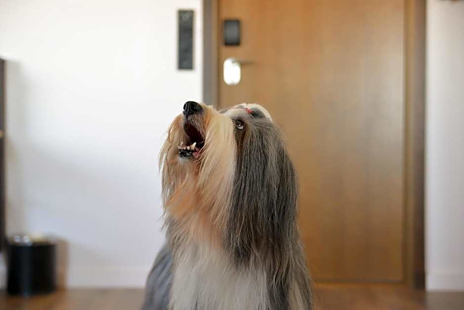 Quality Hotel The Mill