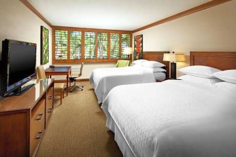 Guest room, 2 Queen