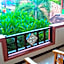 Bali Diva Hotel Kuta