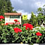 Hotel Restaurant La Petite Auberge Alsace