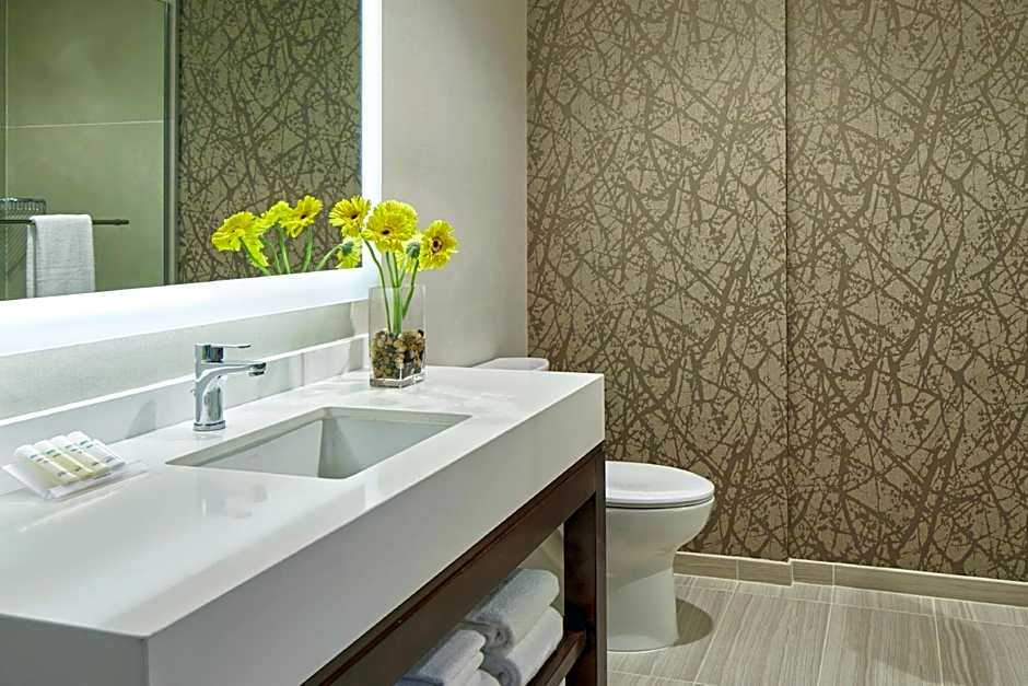 Hilton Garden Inn San Diego Mission Valley/Stadium