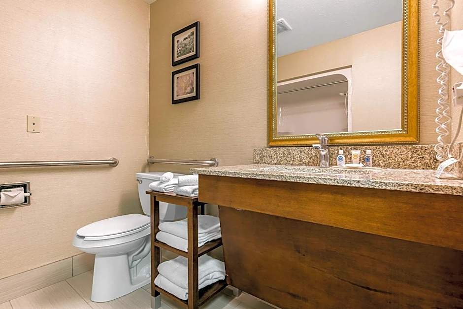 Comfort Inn & Suites South Bend